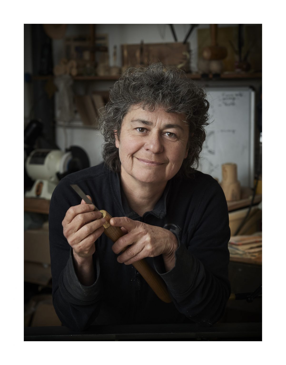 Joss Naigeon Désirs des arts